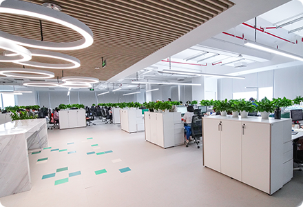 6t����(6TSPORTS)�����Źɷݹ�˾